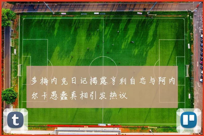 多梅内克日记揭露亨利自恋与阿内尔卡愚蠢真相引发热议