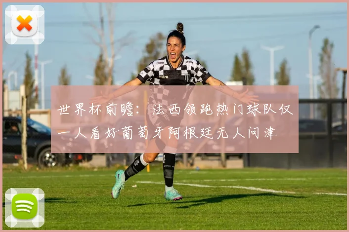 世界杯前瞻：法西领跑热门球队仅一人看好葡萄牙阿根廷无人问津