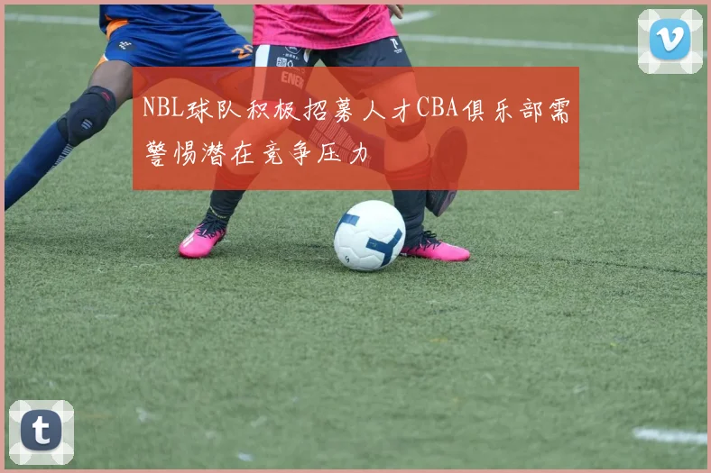 NBL球队积极招募人才CBA俱乐部需警惕潜在竞争压力